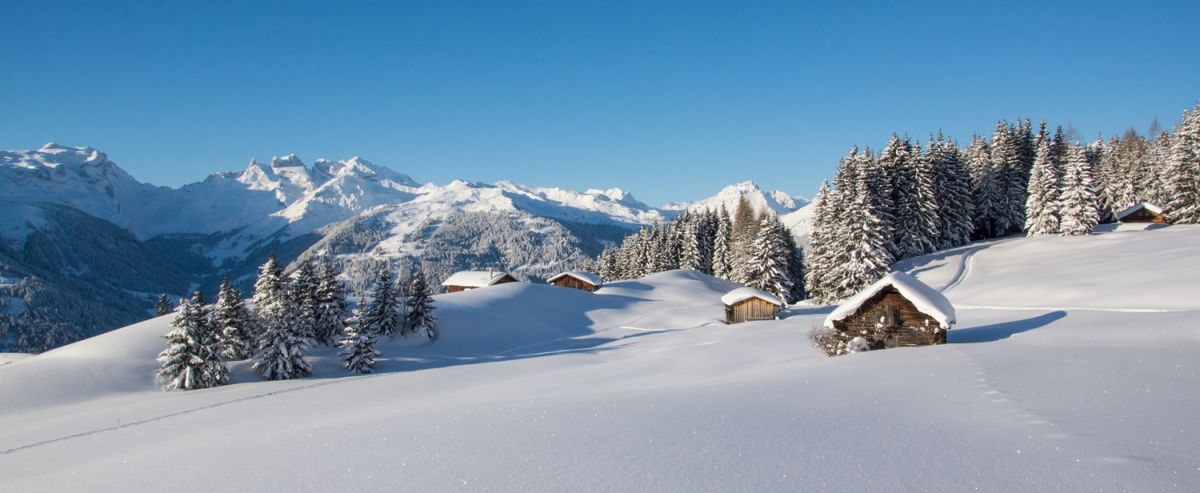paysage enneigé dans les Alpes