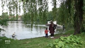 Artikelbild