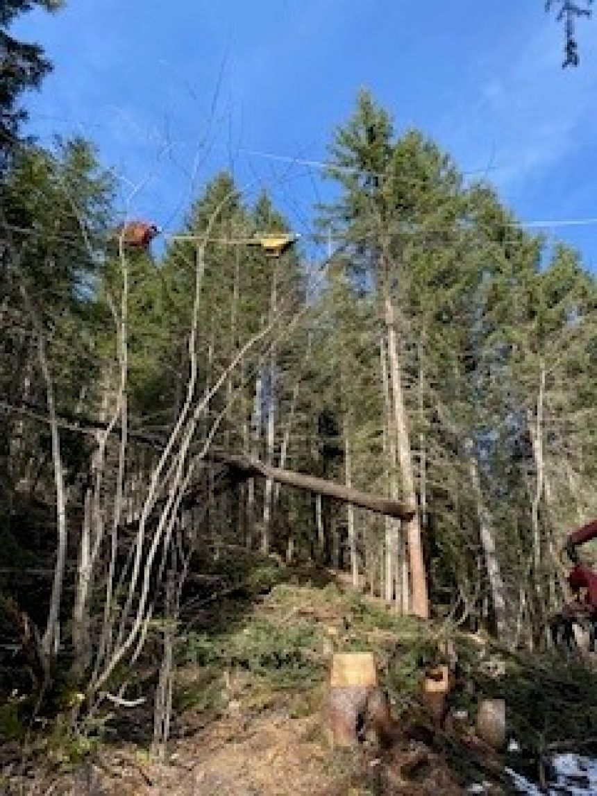 Semaine de projet EDD au gymnase d’Interlaken : au service du développement durable